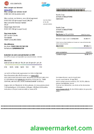 France EDF proof of address business utility bill template in Word and PDF formats